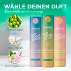 WC Tozu Üçlü Paket (3×700 g)